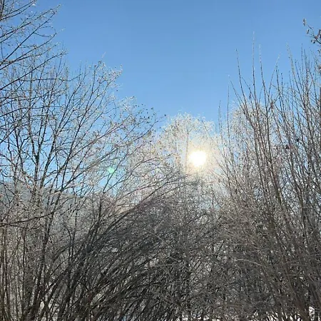 Ferien Im Gruenen Reiterndorf * Bad Ischl
