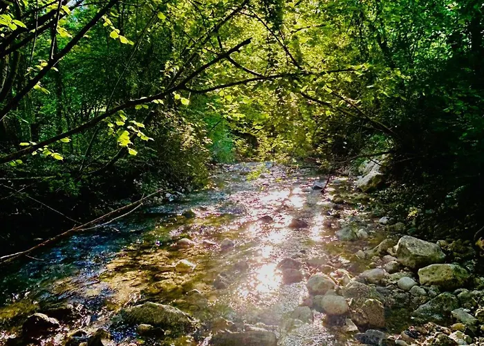 Ferien Im Gruenen Reiterndorf Διαμέρισμα *