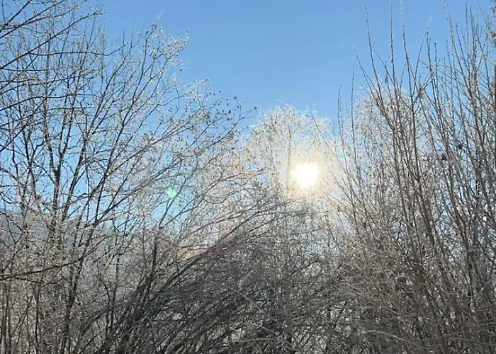 Ferien Im Gruenen Reiterndorf * Bad Ischl