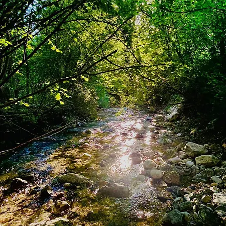 Ferien Im Gruenen Reiterndorf Διαμέρισμα *